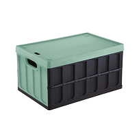 Skladací box 46 l s vekom čierno-zelený TONTARELLI 8034118814